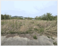  2025Ÿ��509151  �������