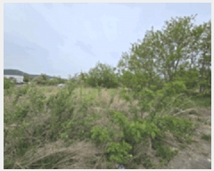  2025Ÿ��509151  �������