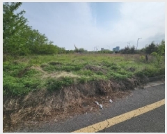  2025Ÿ��509151  �������