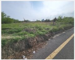  2025Ÿ��509151  �������