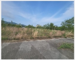  2025Ÿ��509151  �������