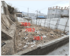  2025Ÿ��916  �������