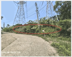  2025Ÿ��1101 ��õ ������ ����� �ܸ� 284-3      ����(�Ӿ�)���