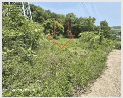  2025Ÿ��1101 ��õ ������ ����� �ܸ� 284-3      ����(�Ӿ�)���