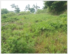  2025Ÿ��1101 ��õ ������ ����� �ܸ� 284-3      ����(�Ӿ�)���