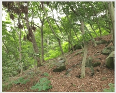  2025Ÿ��1383 ��õ ������ ����� ���� 1311-2      ����(�Ӿ�)���