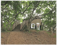  2025Ÿ��1383 ��õ ������ ����� ���� 1311-2      ����(�Ӿ�)���