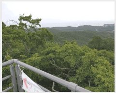  2025Ÿ��1383 ��õ ������ ����� ���� 1311-2      ����(�Ӿ�)���