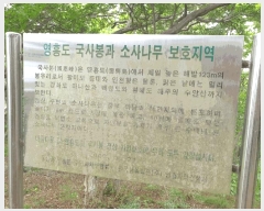  2025Ÿ��1383 ��õ ������ ����� ���� 1311-2      ����(�Ӿ�)���