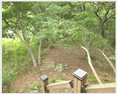  2025Ÿ��1383 ��õ ������ ����� ���� 1311-2      ����(�Ӿ�)���