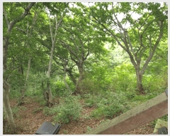  2025Ÿ��1383 ��õ ������ ����� ���� 1311-2      ����(�Ӿ�)���