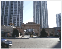  2025Ÿ��507247  ���ǽ��ڰ��