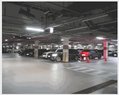  2025Ÿ��507247  ���ǽ��ڰ��