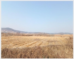  2025Ÿ��508183 ��õ ������ �ϵ��� �ŵ��� 708-5      ����(��)���