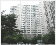  2025Ÿ��509862  ����Ʈ���