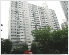  2025Ÿ��509862  ����Ʈ���