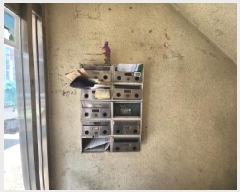  2025Ÿ��503255  �ټ���(����)���