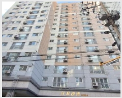  2025Ÿ��503873  ���ǽ��ڰ��