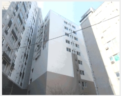  2025Ÿ��508035  ���ǽ��ڰ��