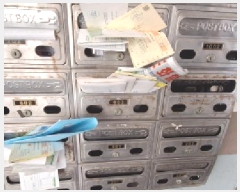  2025Ÿ��508035  ���ǽ��ڰ��