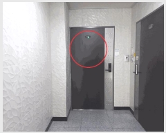  2025Ÿ��508758  ���ǽ��ڰ��