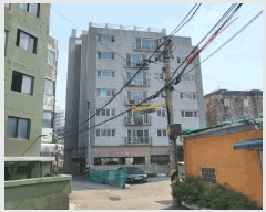  2025Ÿ��509205  ���ǽ��ڰ��