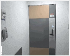  2025Ÿ��509469  ���ǽ��ڰ��