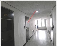  2025Ÿ��509479  ���ǽ��ڰ��