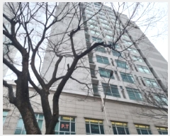  2025Ÿ��774  ���ǽ��ڰ��