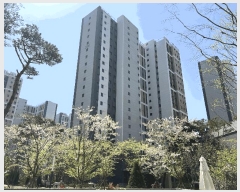  2025Ÿ��987 ��õ �߱� ��� 1598-1 ��������̺佺ī�̽�Ƽ 236�� 9��904ȣ    ����Ʈ���