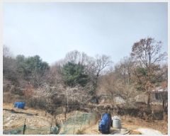  2025Ÿ��507963 ��õ ��ȭ�� ���� ö�긮 90-25      ����(�Ӿ�)���