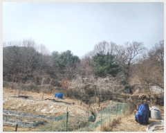  2025Ÿ��507963 ��õ ��ȭ�� ���� ö�긮 90-25      ����(�Ӿ�)���