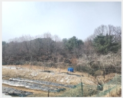  2025Ÿ��507963 ��õ ��ȭ�� ���� ö�긮 90-25      ����(�Ӿ�)���