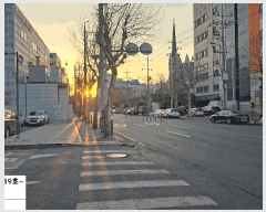  2025Ÿ��508264  ����Ʈ��������