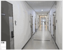  2025Ÿ��508264  ����Ʈ��������