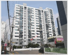  2025Ÿ��508494  ����Ʈ���