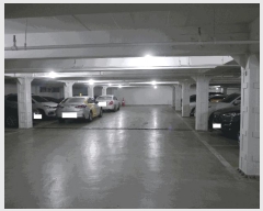  2025Ÿ��508494  ����Ʈ���