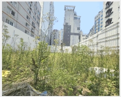  2025Ÿ��509268 ��õ ����Ȧ�� �־ȵ� 85-6       ����(����)���