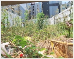  2025Ÿ��509268 ��õ ����Ȧ�� �־ȵ� 85-6       ����(����)���