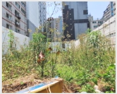  2025Ÿ��509268 ��õ ����Ȧ�� �־ȵ� 85-6       ����(����)���