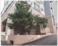  2025Ÿ��509530 ��õ ����Ȧ�� �־ȵ� 177-9 ��������ĳ��  2��204ȣ    ���ǽ��ڰ��