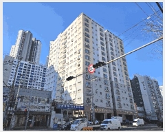  2025Ÿ503576 õ Ȧ ߷ 19, ̵ 4403ȣ (ǵ,ѸƮ)    ǽڰ