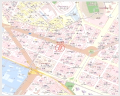  2025Ÿ503576 õ Ȧ ߷ 19, ̵ 4403ȣ (ǵ,ѸƮ)    ǽڰ