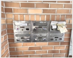  2025Ÿ��505923  �ټ���(����)���