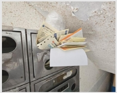  2025Ÿ��507304  �ټ���(����)���