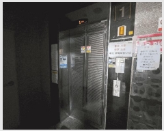  2025Ÿ��507383  ��������Ȱ���ð��