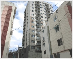  2025Ÿ507615 õ   2-10 Ŭ 2203ȣ     ǽڰ