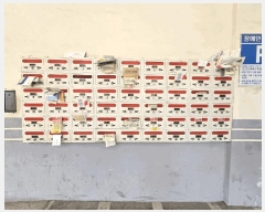  2025Ÿ��508793  ���ǽ��ڰ��