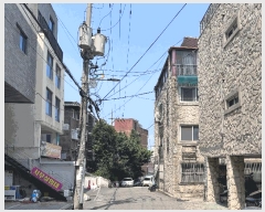  2025Ÿ��509738  �ټ���(����)���