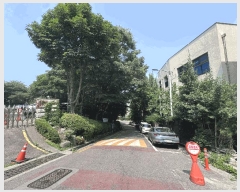  2025Ÿ��509738  �ټ���(����)���